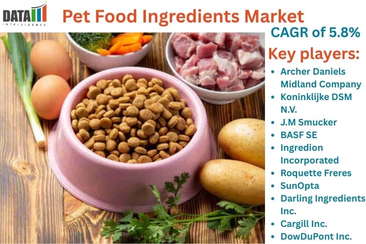 Pet Food Ingredients Market is expected to reach USD 85.1 billion by 2031 | DataM Intelligence