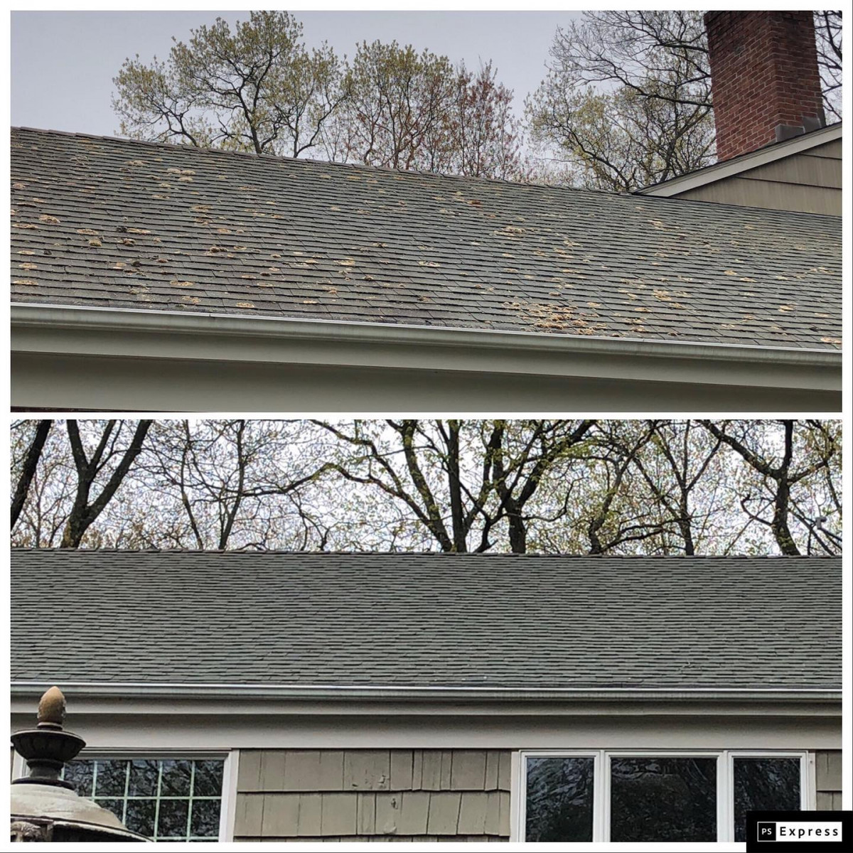 Castle Window Cleaning On Reasons to Leave Roof Cleaning to the Professionals